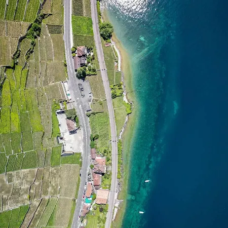 Les Terrasses De Lavaux-2 De Luxe Avec Vue Panoramique Et Piscine