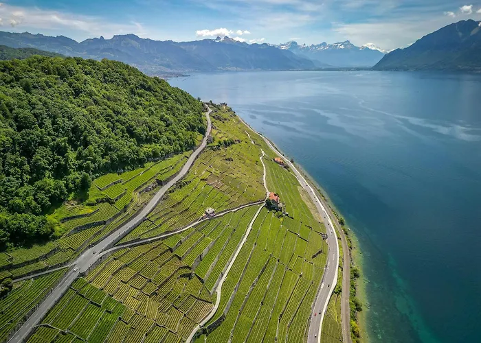 Les Terrasses De Lavaux-2 De Luxe Avec Vue Panoramique Et Piscine